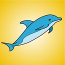 dolfijntje-toon